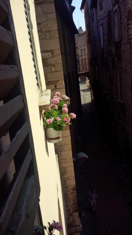B&B Le Naiadi Perugia Bagian luar foto